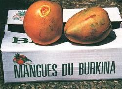 Mangokiste_250
