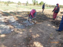 PARI-GST_P1030722-Holzasche als Kali-Dünger (Custom) PARI-GST_P1030722-Holzasche als Kali-Dünger (Custom)