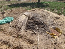 PARI-GST_P1150049-reifer Kompost (Custom) PARI-GST_P1150049-reifer Kompost (Custom)