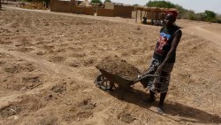 PROSAN-YE_P1050944-Zai-Frau-b (Custom)