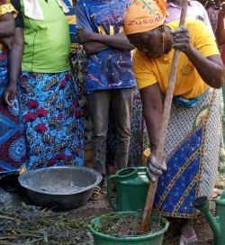 Formation des producteurs sur la production de l'engrais liquid