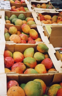 Mangoaktion_2003_3 (Custom)